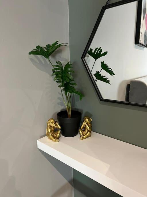 Peaceful & Stylish Brighton Studio Apartment Bagian luar foto